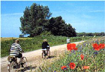 Natururlaub in Kühlungsborn